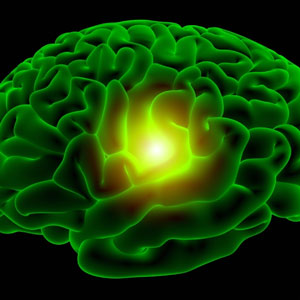 digitaly rendered image of brain with center highlighted.